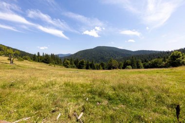 Yazın Ukrayna Karpatları 'nda dağ manzarası.