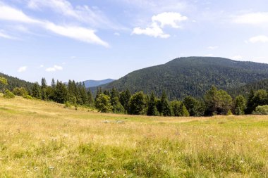Yazın Ukrayna Karpatları 'nda dağ manzarası.