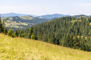 Yazın Ukrayna Karpatları 'nda dağ manzarası.