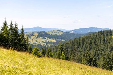 Yazın Ukrayna Karpatları 'nda dağ manzarası.