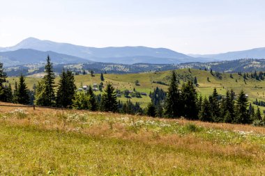 Yazın Ukrayna Karpatları 'nda dağ manzarası.