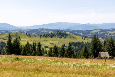 Yazın Ukrayna Karpatları 'nda dağ manzarası.