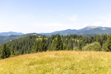 Yazın Ukrayna Karpatları 'nda dağ manzarası.
