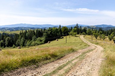 Yazın Ukrayna Karpatları 'nda dağ manzarası.