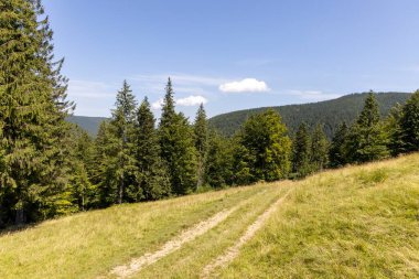 Yazın Ukrayna Karpatları 'nda dağ manzarası.