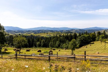 Yazın Ukrayna Karpatları 'nda dağ manzarası.