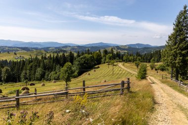 Yazın Ukrayna Karpatları 'nda dağ manzarası.