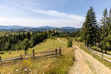 Yazın Ukrayna Karpatları 'nda dağ manzarası.