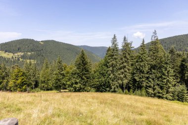 Yazın Ukrayna Karpatları 'nda dağ manzarası.