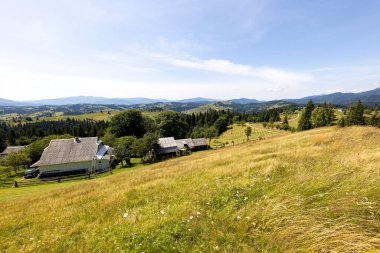 Dağlık Karpatlar 'da bir yerleşim yerindeki binalar.