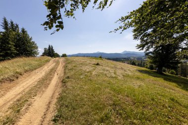 Yazın Ukrayna Karpatları 'nda dağ manzarası.