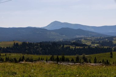 Yazın Ukrayna Karpatları 'nda dağ manzarası.
