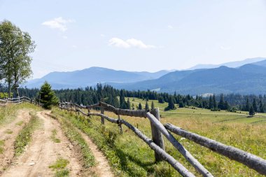 Yüksek Karpatlar 'da yeşil dağ çayırları