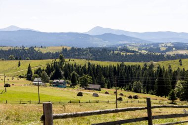 Yüksek Karpatlar 'da yeşil dağ çayırları