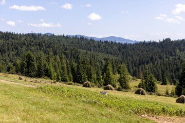 Yazın Ukrayna Karpatları 'nda dağ manzarası.