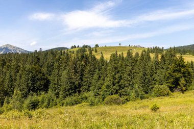 Yazın Ukrayna Karpatları 'nda dağ manzarası.