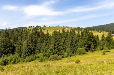 Yazın Ukrayna Karpatları 'nda dağ manzarası.