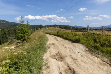 Yazın Ukrayna Karpatları 'nda dağ manzarası.