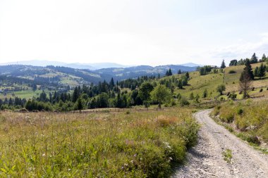 Yazın Ukrayna Karpatları 'nda dağ manzarası.