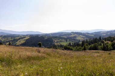 Yazın Ukrayna Karpatları 'nda dağ manzarası.