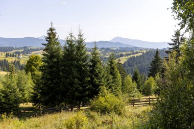 Bir yaz günü Ukrayna Karpatları 'nda dağ panoraması.