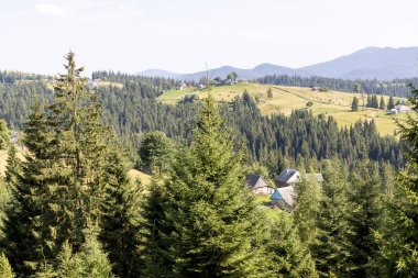 Bir yaz günü Ukrayna Karpatları 'nda dağ panoraması.