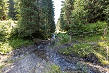 Ukrayna Karpatları 'nda bir yaz gününde dağ deresi