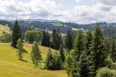 Yazın Ukrayna Karpatları 'nda dağ manzarası.