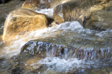 Ukrayna Karpatları 'nda bir yaz gününde dağ deresi