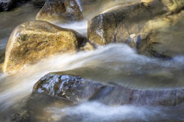 Ukrayna Karpatları 'nda bir yaz gününde dağ deresi