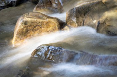 Ukrayna Karpatları 'nda bir yaz gününde dağ deresi