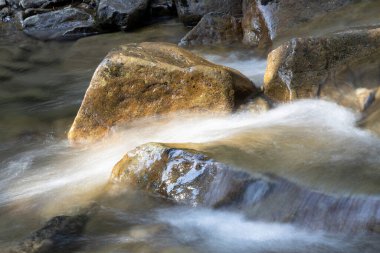 Ukrayna Karpatları 'nda bir yaz gününde dağ deresi