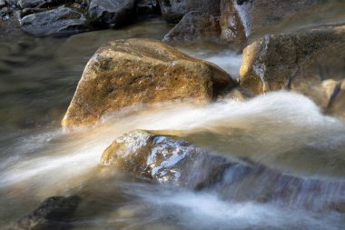 Ukrayna Karpatları 'nda bir yaz gününde dağ deresi