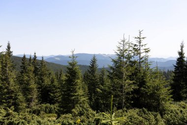 Yazın Ukrayna Karpatları 'nda dağ manzarası.