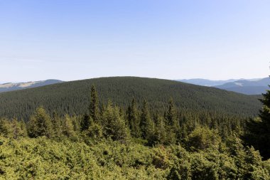 Yazın Ukrayna Karpatları 'nda dağ manzarası.