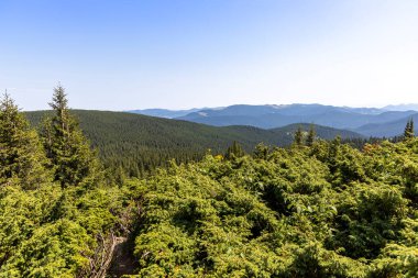 Yazın Ukrayna Karpatları 'nda dağ manzarası.