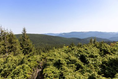 Yazın Ukrayna Karpatları 'nda dağ manzarası.