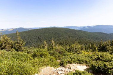 Yazın Ukrayna Karpatları 'nda dağ manzarası.