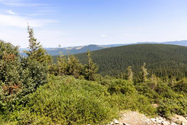 Yazın Ukrayna Karpatları 'nda dağ manzarası.