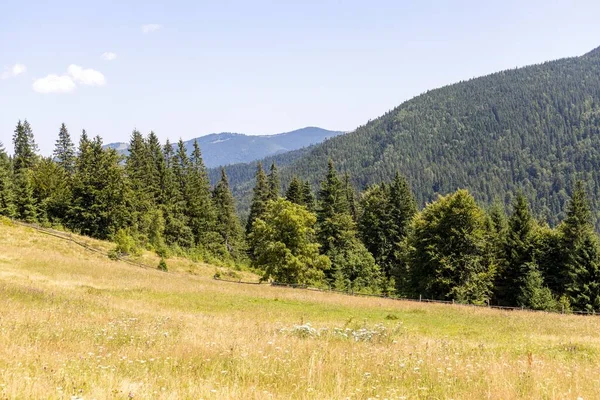 Mountain Landscape Ukrainian Carpathians Summer — Foto Stock