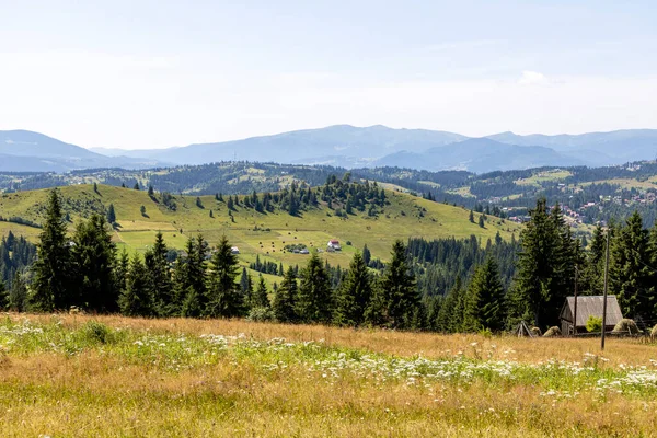 Mountain Landscape Ukrainian Carpathians Summer — Foto Stock