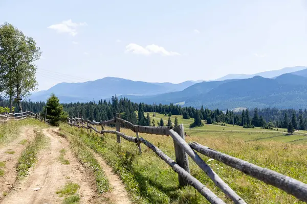 Yüksek Karpatlar 'da yeşil dağ çayırları