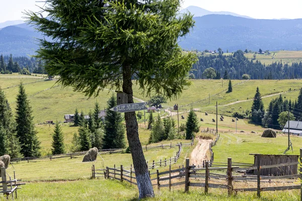 Dağlık Karpatlar 'da bir yerleşim yerindeki binalar.