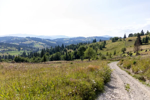 Yazın Ukrayna Karpatları 'nda dağ manzarası.