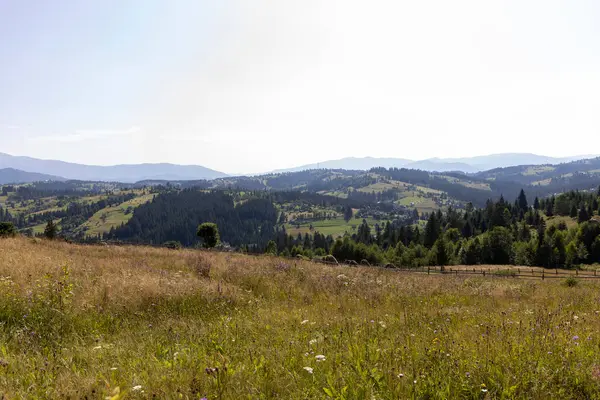 Yazın Ukrayna Karpatları 'nda dağ manzarası.