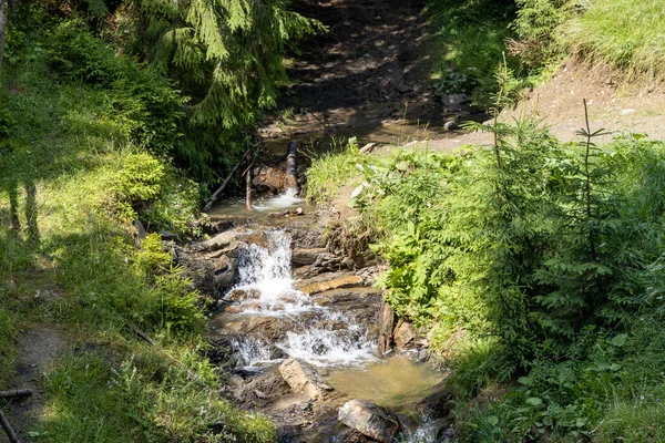 Mountain Stream Summer Day Ukrainian Carpathians —  Fotos de Stock