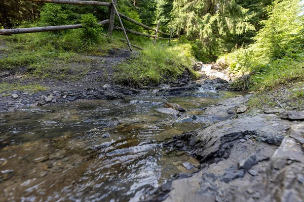 Mountain Stream Summer Day Ukrainian Carpathians — Stock Photo, Image