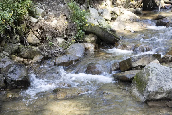 Mountain Stream Summer Day Ukrainian Carpathians — Fotografia de Stock