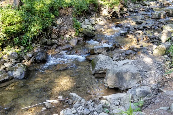 Mountain Stream Summer Day Ukrainian Carpathians — Stockfoto
