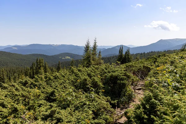 Mountain Landscape Ukrainian Carpathians Summer — Fotografia de Stock